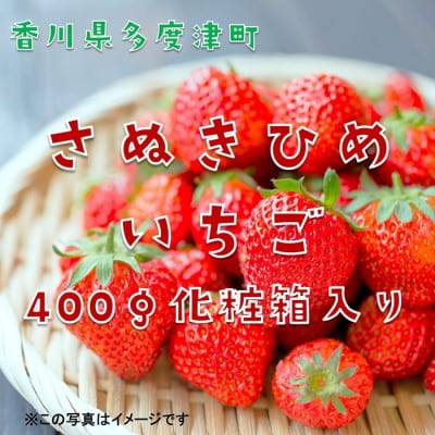 香川県オリジナル品種 さぬきひめいちご 約400g化粧箱入り(12～18粒)【L-39】