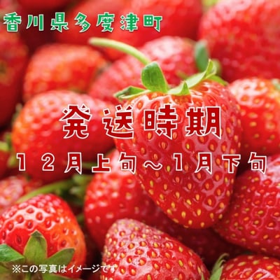 香川県オリジナル品種 さぬきひめいちご 約400g化粧箱入り(12～18粒)【L-39】