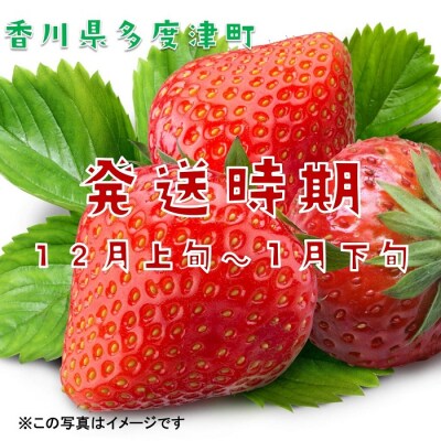 香川県オリジナル品種 さぬきひめいちご 約1kgDXパック【B-48】