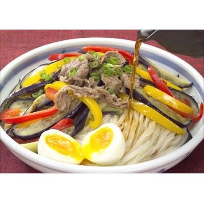 純生!【冷うどんが旨い】本場さぬきうどんめん一のひやひや(6人前)【L-40】