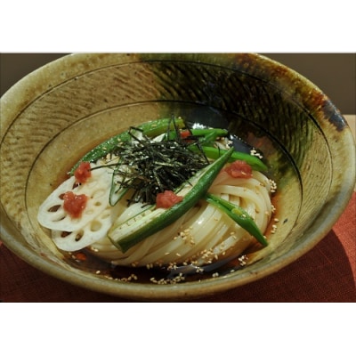 純生!【冷うどんが旨い】本場さぬきうどんめん一のひやひや(6人前)【L-40】