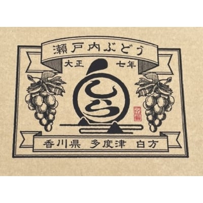 島田農園　デラウェア2kg【令和7年8月頃より発送!先行受付中】【A-96】