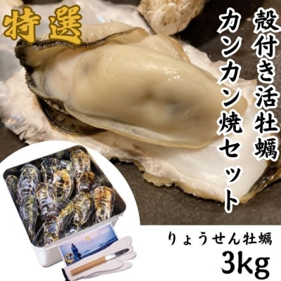 多度津白方 殻付活牡蠣カンカン焼セット 3kg (加熱用)【H-1】