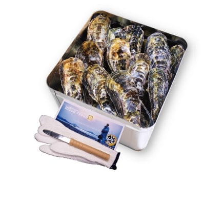 多度津白方 殻付活牡蠣カンカン焼セット 3kg (加熱用)【H-1】