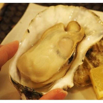 多度津白方 殻付活牡蠣カンカン焼セット 3kg (加熱用)【H-1】