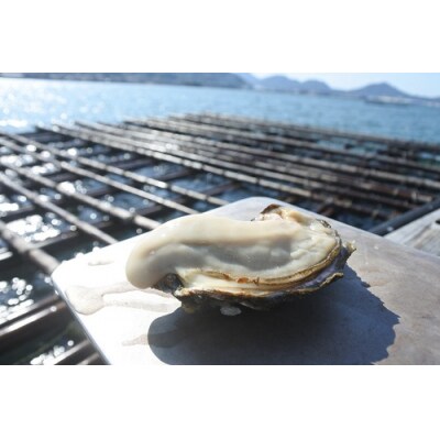 白方産　りょうせん牡蠣　むき身(加熱用)【A-12】