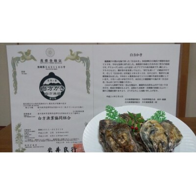 香川県 多度津町産 白方かき むき身(加熱用)200g×5袋【A-88】