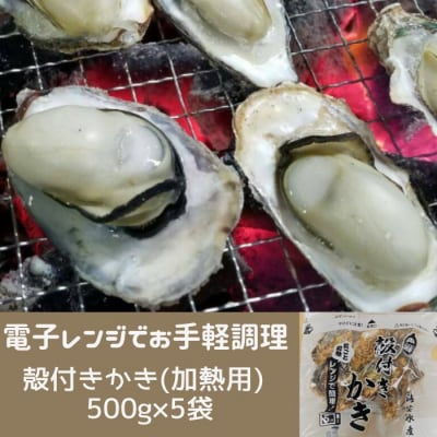 白方かき 電子レンジでお手軽調理　殻付きかき(加熱用)　500g×5袋【A-91】