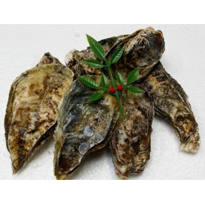 多度津町産 白方かき 焼き小屋さと自家製　かきの佃煮　70g×3袋【L-27】