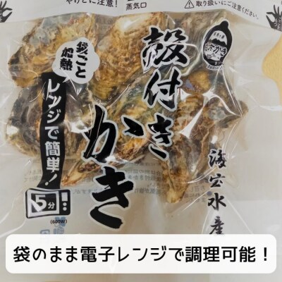 白方かき 電子レンジでお手軽調理　殻付きかき(加熱用)　500g×2袋【L-31】