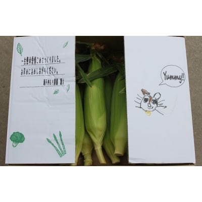 朝採れ!とうもろこし【おおもの】5kg(11本～13本)【L-47】