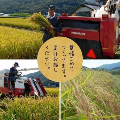 多度津町産ヒノヒカリ・あきさかり大容量食べ比べセット 20kg【A-99】