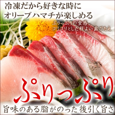 オリーブハマチ　冷凍　柵4本【B-53】