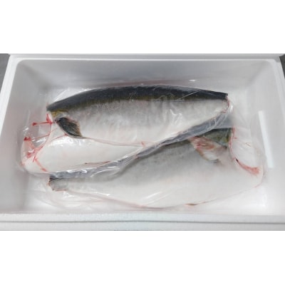オリーブハマチ　冷凍　カマ・鱗付き半身2枚　約3kg(原体4.6kg)【B-55】