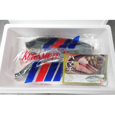オリーブハマチ　冷凍　カマ・鱗付き半身2枚　約3kg(原体4.6kg)【B-55】