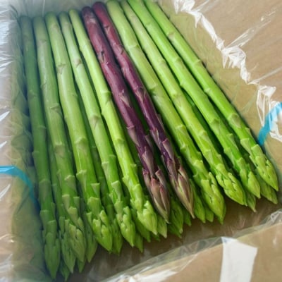 アスパラ王子が育てた自慢のアスパラ「Lサイズ」1kg【先行受付:御用意出来次第発送】【H-54】
