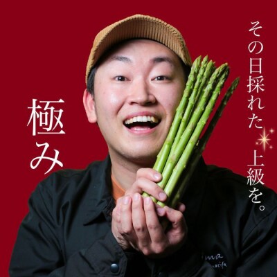 アスパラ王子が育てた自慢のアスパラ「極み」1kg 【御用意出来次第発送】【H-56】