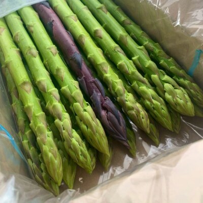 アスパラ王子が育てた自慢のアスパラ「極み」1kg 【御用意出来次第発送】【H-56】