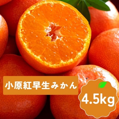 【全3回フルーツ定期便】さぬきゴールドと小原紅早生みかんとさぬきキウイっこ【D-15】
