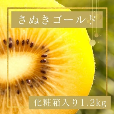 さぬきゴールド キウイフルーツ 1.2kg化粧箱入り【A-113】