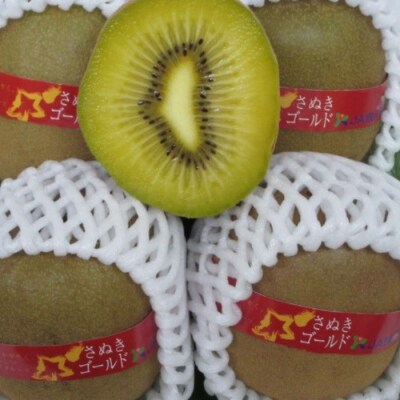 さぬきゴールド キウイフルーツ 1.2kg化粧箱入り【A-113】