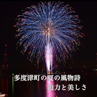 【返礼品なし】たどつ港まつり花火大会 応援ふるさと納税【G-10】