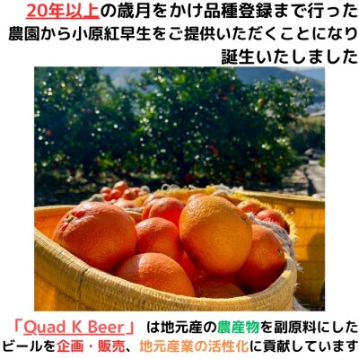 クラフトビール【Quad K Beer】セゾンビール・kokou 詰め合わせ 6本セット【B-70】