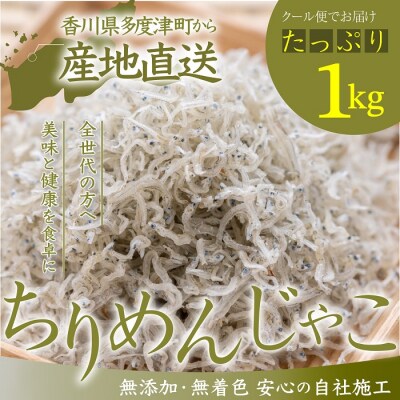 瀬戸内香川県産 ちりめん 1kg【A-133】
