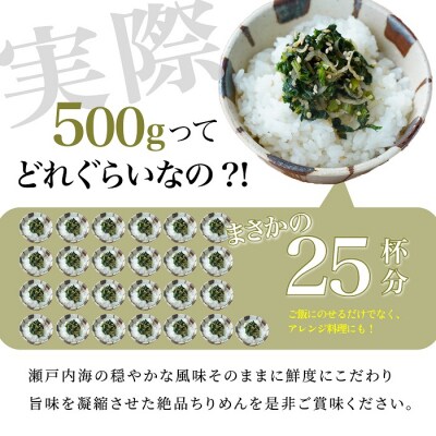 瀬戸内香川県産 ちりめん 500g【L-64】