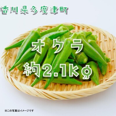 オクラ約2.1kg　30ネットまたはバラ詰め【A-144】