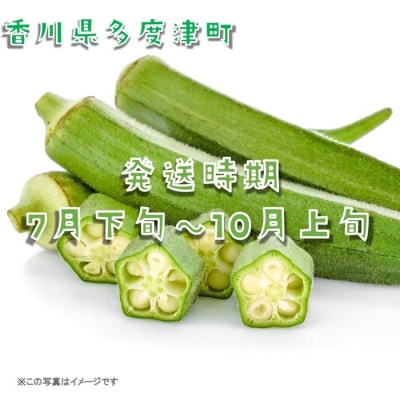 オクラ約3kgバラ詰め(わけあり)【A-145】