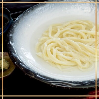 たどつ製麵　本生釜揚げうどん　だし付き 8人前【B-74】