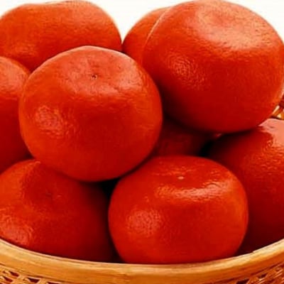 小原紅早生みかん　サイズS～L　約4.5kg【B-59】