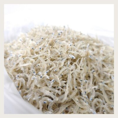 ちりめんじゃこ!!【予約受付中:旬に獲れ立て発送!】上乾ちりめん(500g)【L-76】
