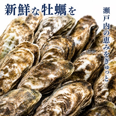 【冷凍】多度津白方 りょうせん殻付き牡蠣400g×5パック(加熱用)【A-158】