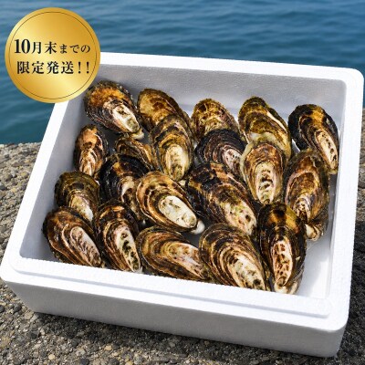 多度津白方 りょうせん夏牡蠣20個(生食用)【A-159】