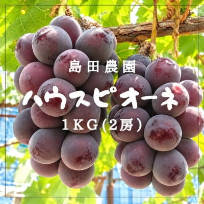 島田農園　ピオーネ1kg(2房入り)【令和9年8月中旬頃発送!予約受付中】【A-160】