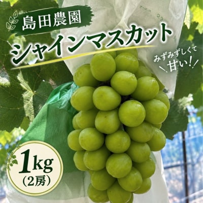 島田農園　シャインマスカット約1kg(2房入り)【令和9年8月下旬頃発送!】【A-161】