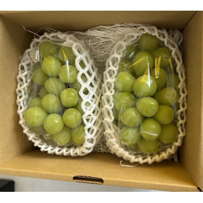 島田農園　シャインマスカット約1kg(2房入り)【令和9年8月下旬頃発送!】【A-161】