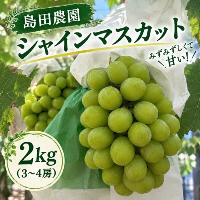 島田農園 シャインマスカット約2kg(3～4房入り)【令和9年8月下旬頃発送