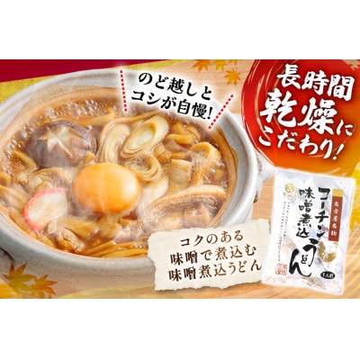 コーチン手折りみそ煮込うどん(10食)