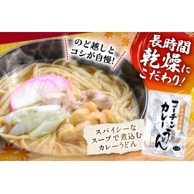 コーチン手折りカレーうどん(10食)