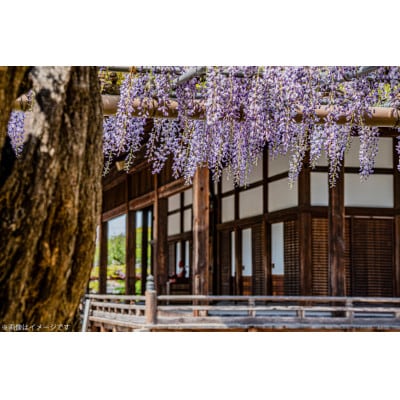 江南ういろ　5本
