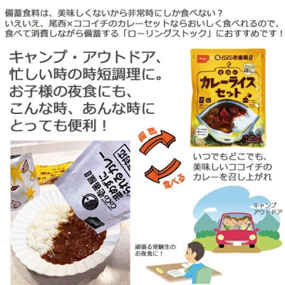 Coco壱番屋監修 尾西のマイルドカレーライスセット 10食セット