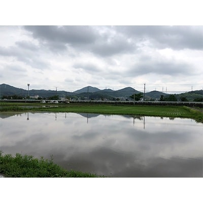 愛知県産　櫻井農園　ひのひかり　精米　10kg(5kg×2)