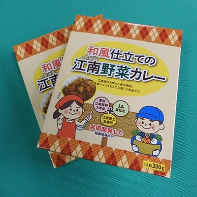 江南特産品　和風仕立ての「江南野菜カレー」10食セット