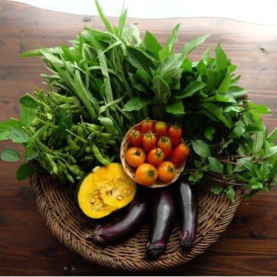 Dvegeの夏の野菜セット