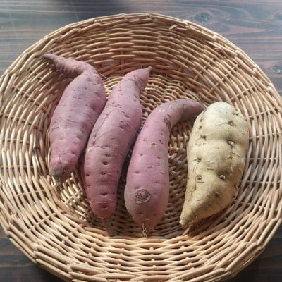 Dvegeの秋の野菜セット