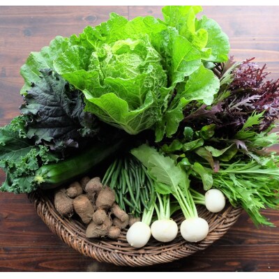 Dvegeの冬の野菜セット