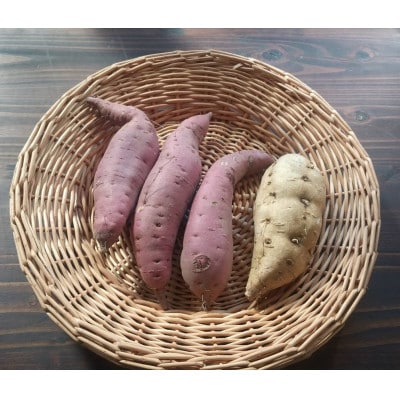 Dvegeの冬の野菜セット